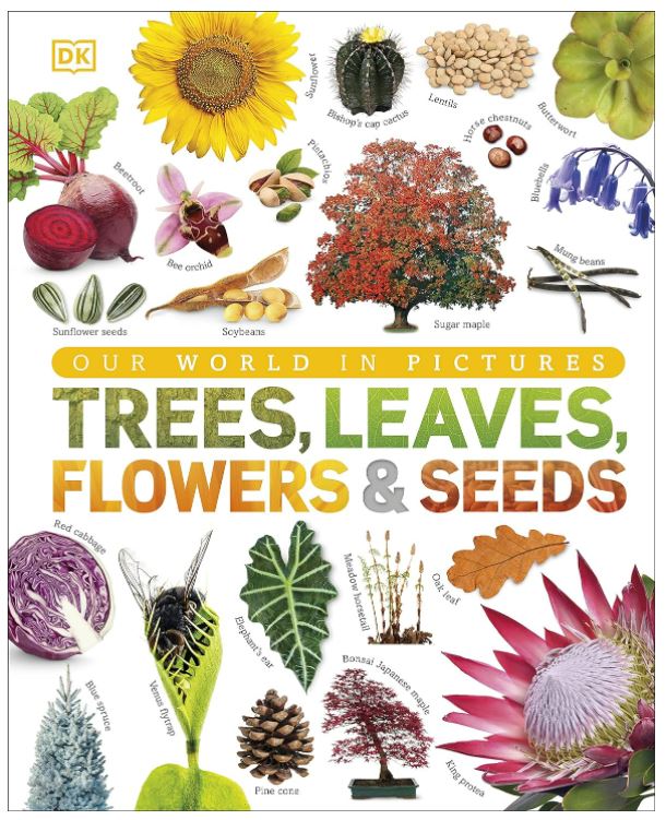 Our World in Pictures: Trees, Leaves, Flowers & Seeds: A visual encyclopedia of the plant kingdom [Hardcover] DK and Smithsonian Institution