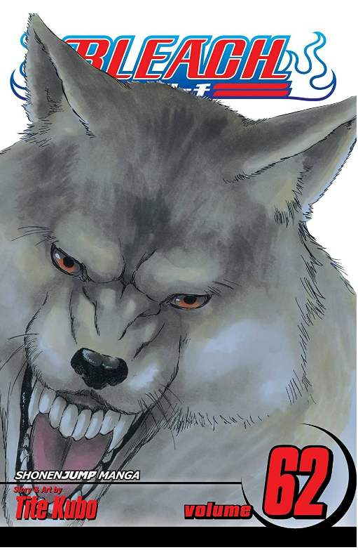 Bleach 62: Heart of Wolf: Volume 62