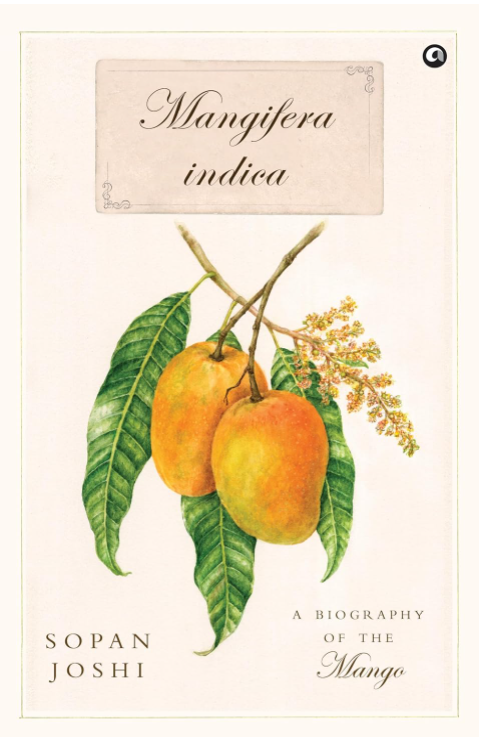 Mangifera Indica A Biography of the Mango